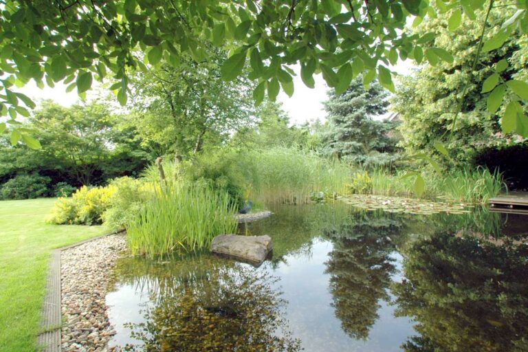 idyllischer Garten mit Teich